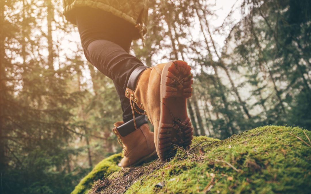 Hike Like a Pro: Must-Have Essentials for Every Adventurous Trekker